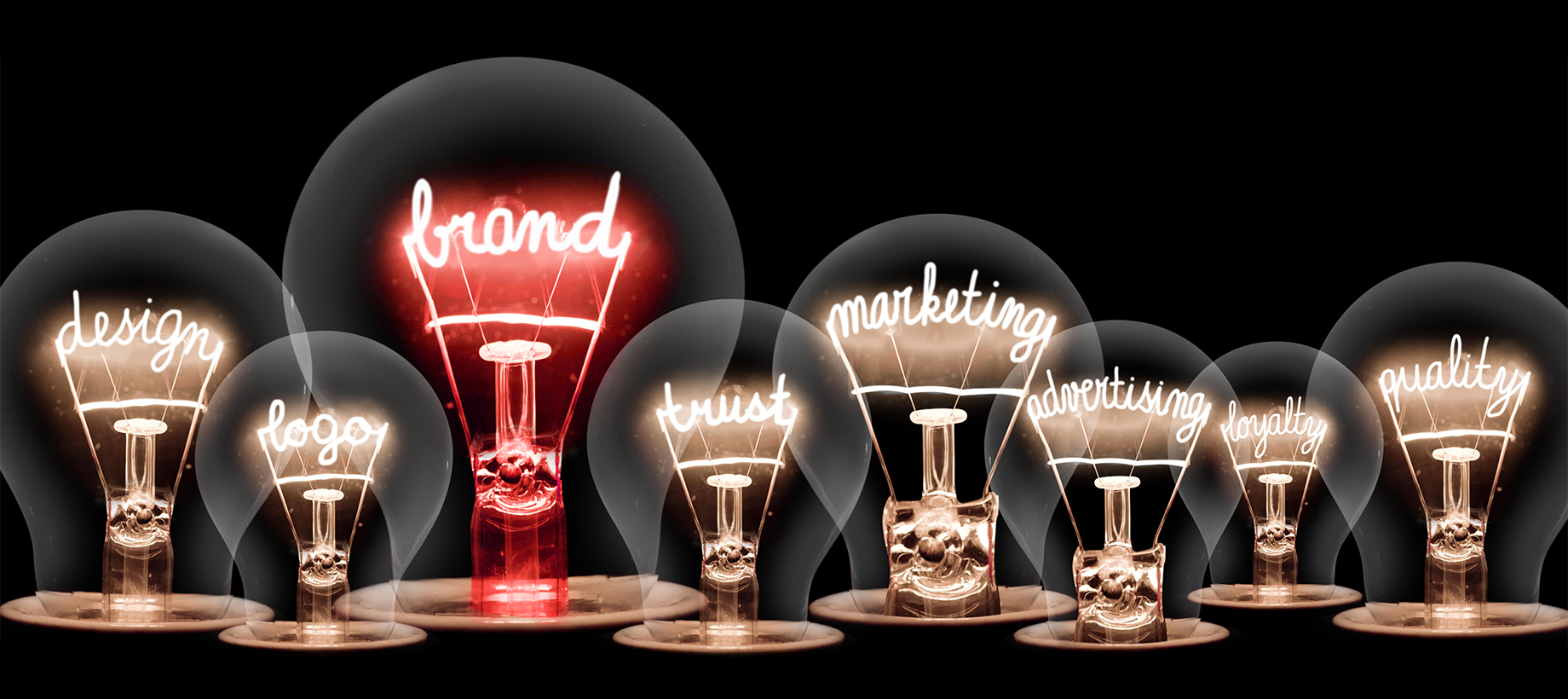 Brand Management and Strategy