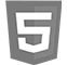 html5