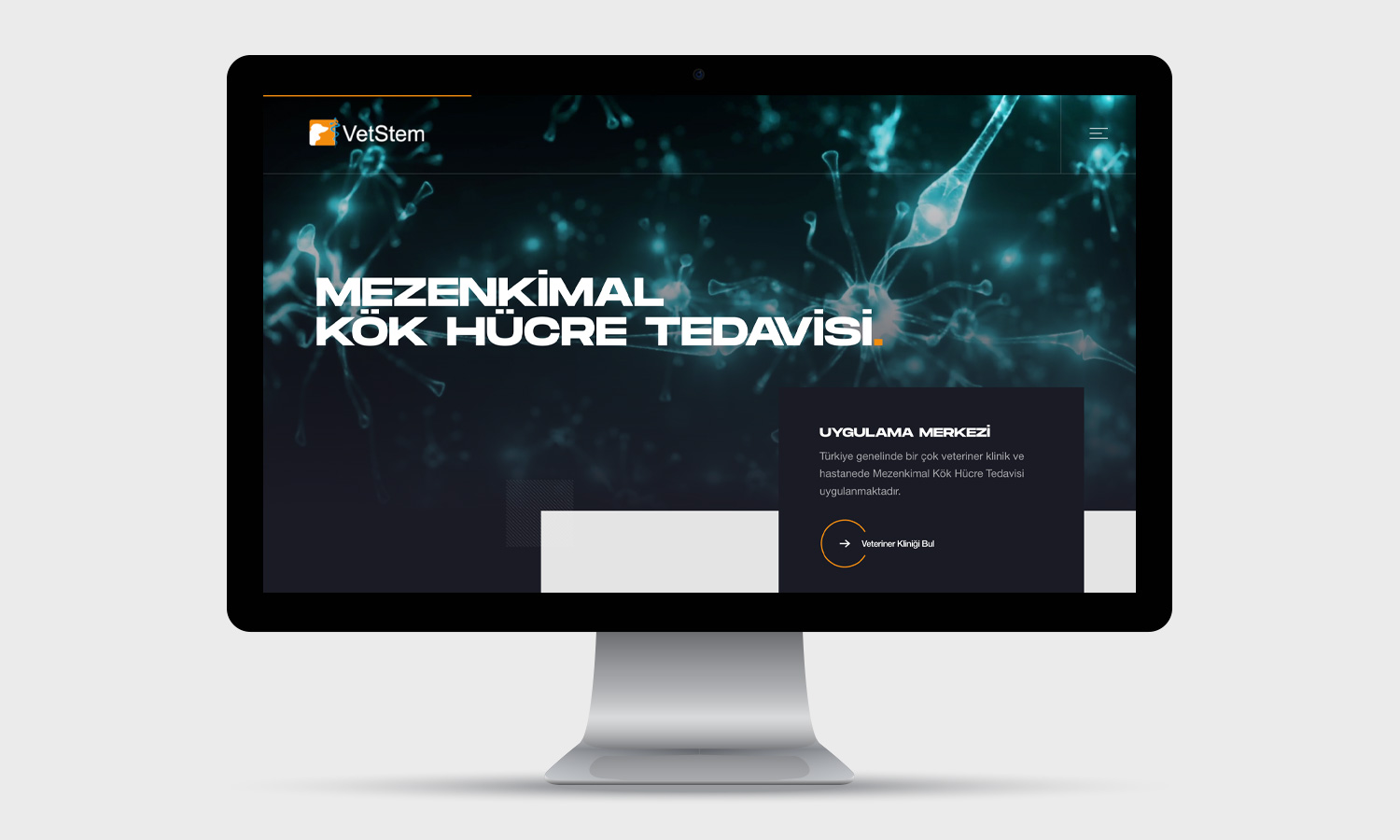 Kurumsal web tasarım